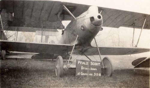 Jasta 23b_Koumlnigs Pfalz D.IIIa_captured N of Gonnelieu.jpg