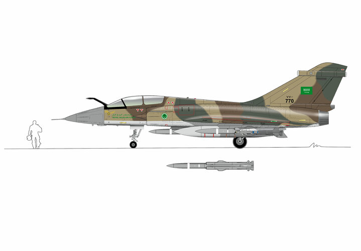 Mirage 4000 profil biplace saoudien Final Corrige2.jpg