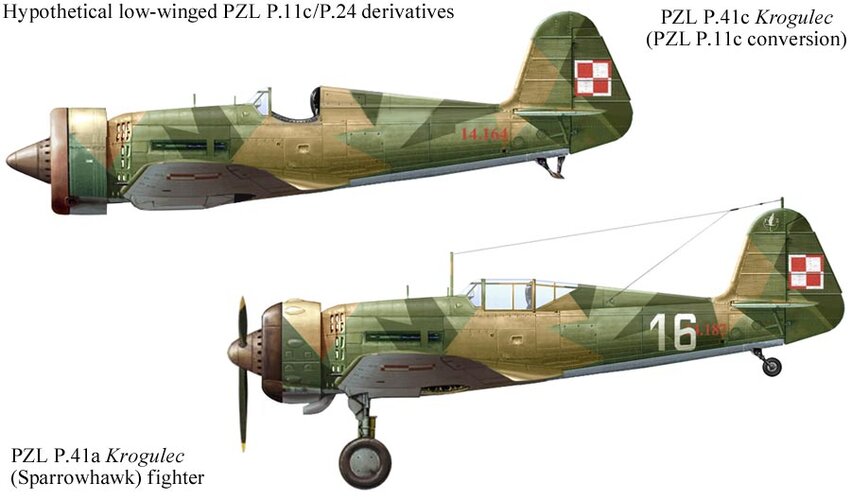 pzl-p11-low-wing-1.jpg