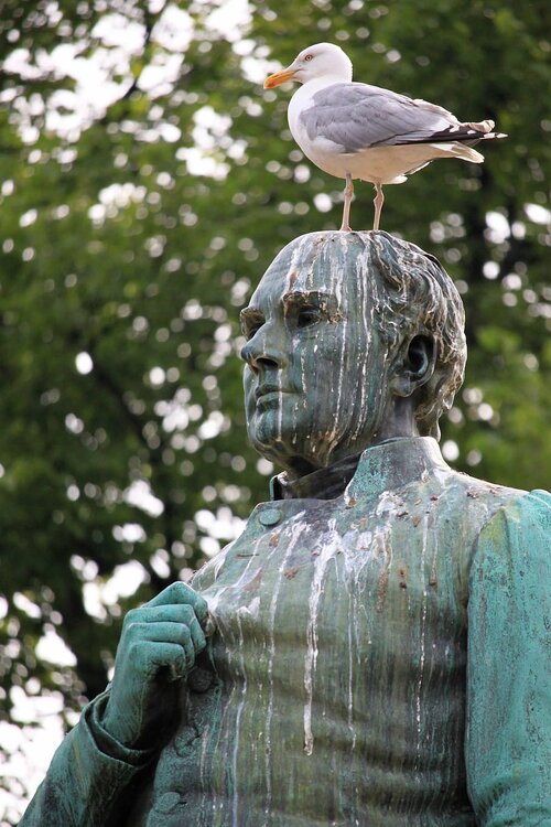 gull-statue-bird-droppings-degrading.jpg