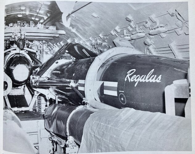 Regulus Missiles in Halibut Hangar.JPG