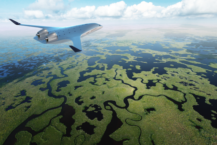 zZ4-Jetliner-wetlands.png