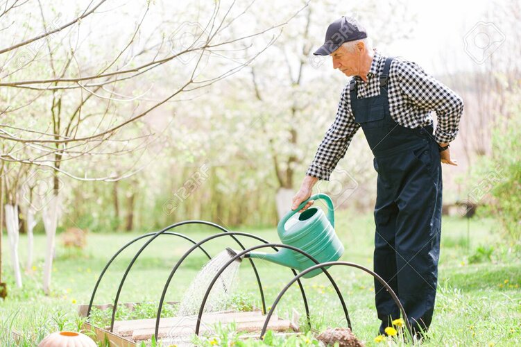 147175359-jardinero-senior-que-trabaja-con-el-riego-del-jardín-anciano-con-gorra-y-mono-trabaj...jpg