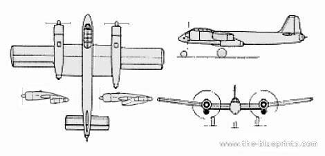 bv203.jpg