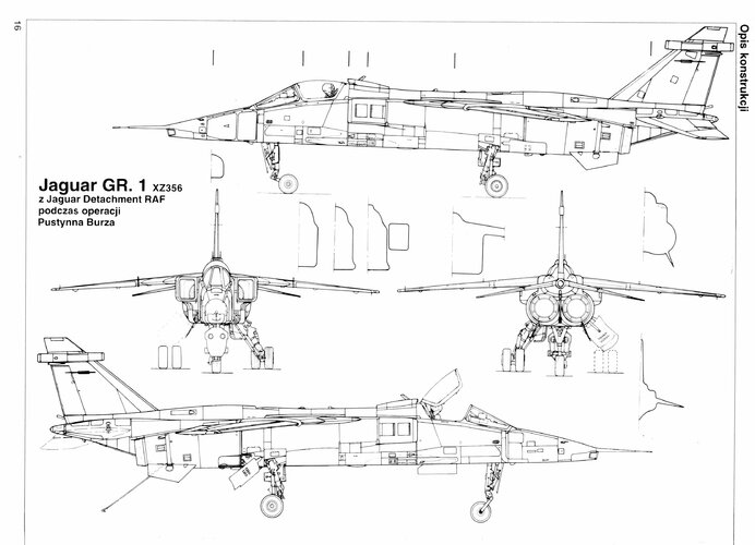 Jaguar_s16_PKL-23.jpg