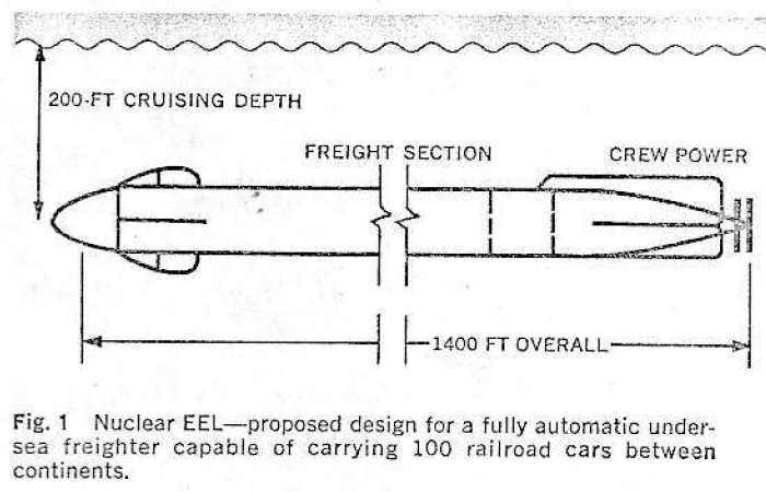 eel_1.PNG