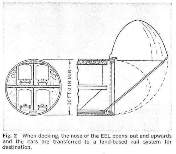 eel_2.PNG