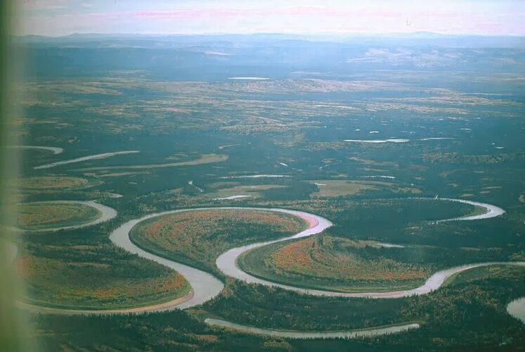 meandro río Nowitna_river..jpg