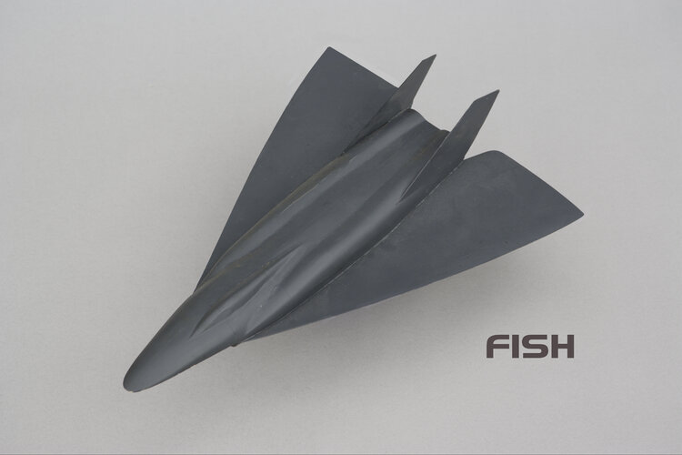 CS-FISH-02.jpg