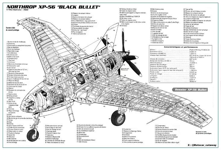 Cutaway Northrop F-56 limpio.jpg