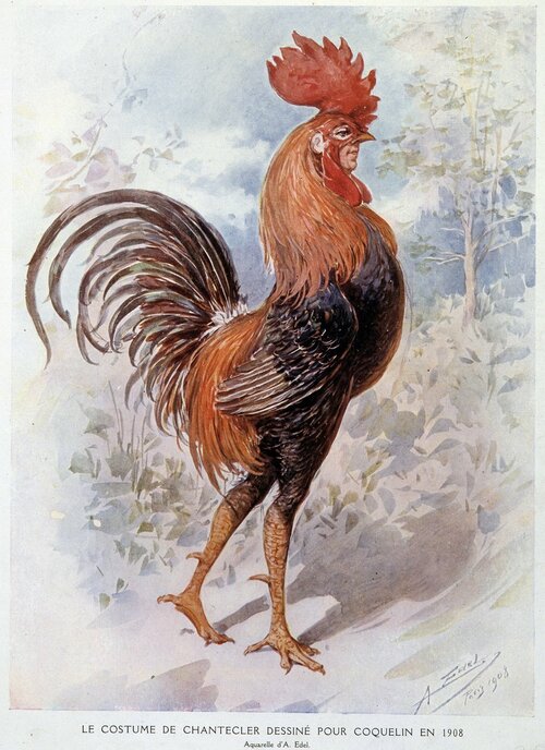 Alfredo_Edel_-_Chanteclers_Rooster_Costume_designed_for_Constant_Poppy_in_1908_piece_in_verse_...jpg