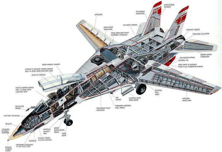 F-14 tomcat color cutaway.jpg