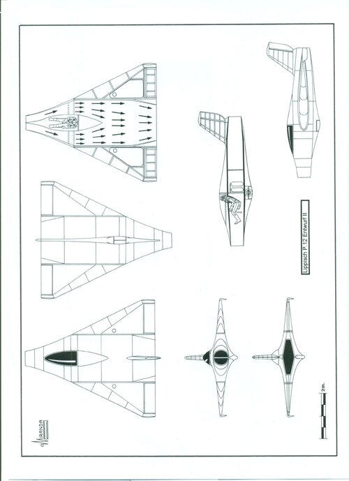 Flying Wings 110.jpg