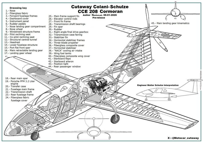 164157_217026279_Cutaway interpretacion Cormoran de Colani-Schulze.jpg