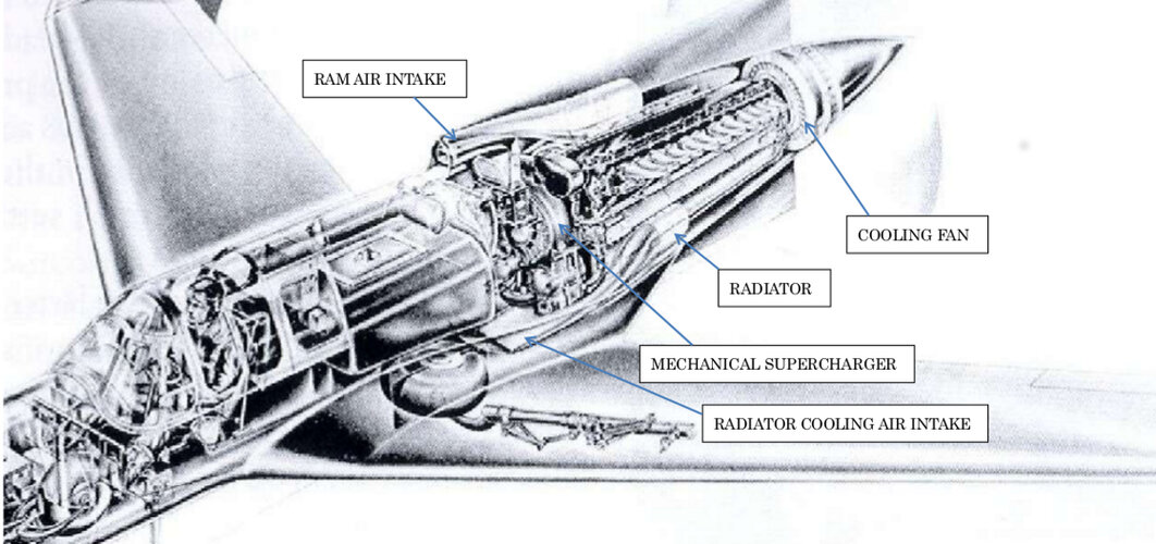 XP-55.jpg