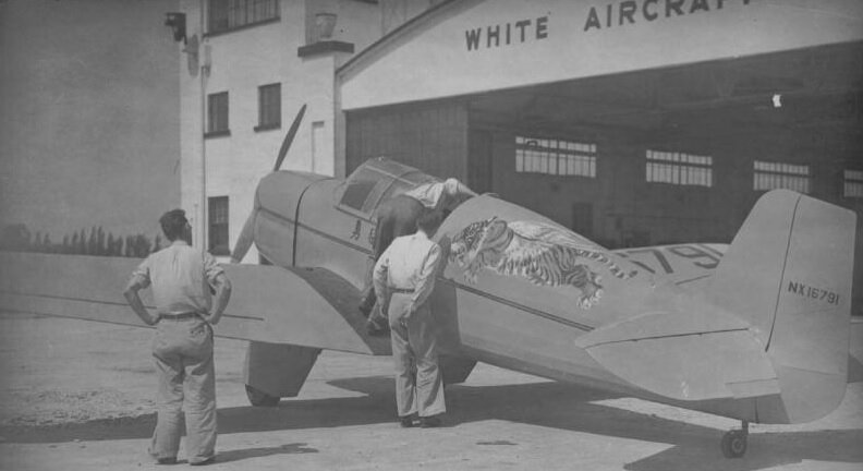 White Tiger in Front of White Hangar.jpg