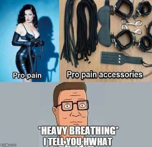 pro-pain and pro-pain accessories.jpg